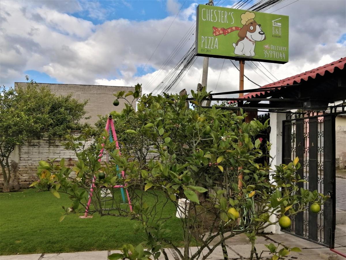 Chester'S B&B Tababela Zewnętrze zdjęcie